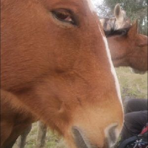 Meet your Posher, Brady